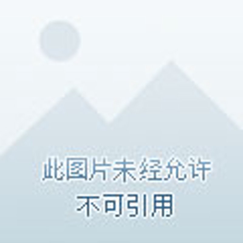 人力资源咨询